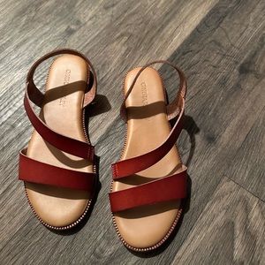 COPY - Cynthia rowley